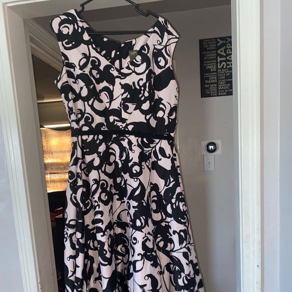 Taylor dress size 12